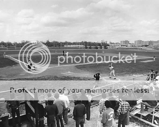 SEC Fan's Guide to Mizzou Baseball Taylor Stadium